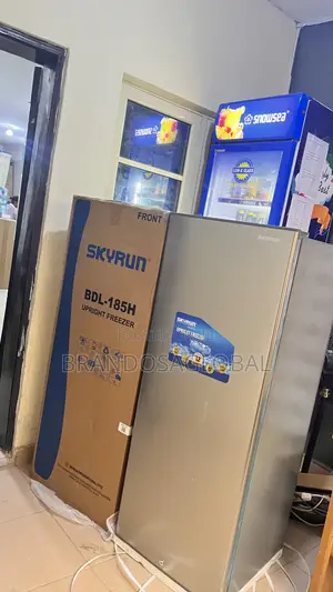 Skyrun 185l Upright Freezer BDL-185h – Low Power