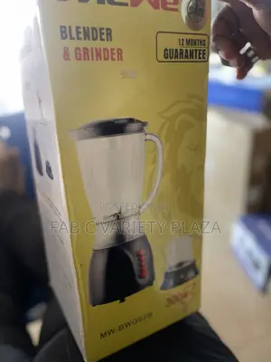 Mewe 300w Blender
