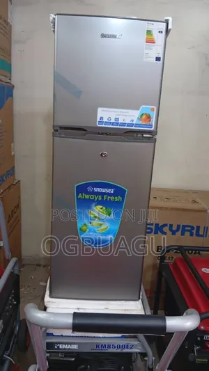 Skyrun Double Door Fridge