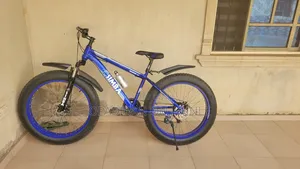 Size 26 Fat Tire Bicycle