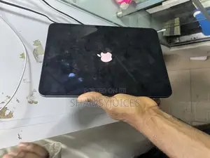 Apple iPad Pro 256 GB Black