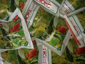 Smoke Fungicide - Chlorothalonil
