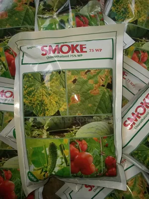 Smoke Fungicide - Chlorothalonil