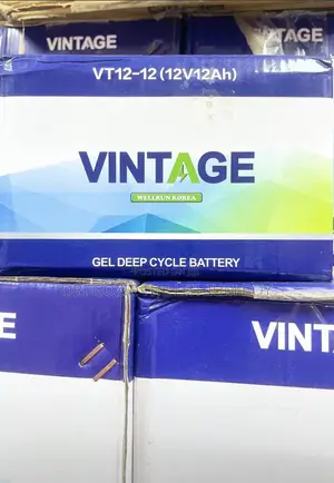 Best Importer and Distributor of 12v-12ah Vintage Solar Gel Battery