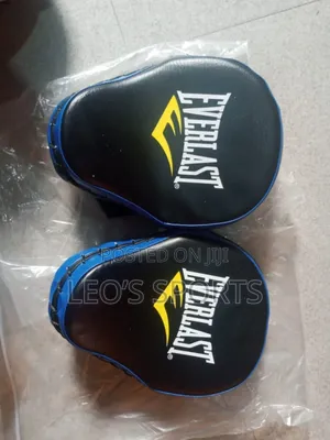 Everlast Boxing Mitts / Coaches Pad