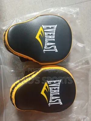 Everlast Boxing Mitts / Coaches Pad