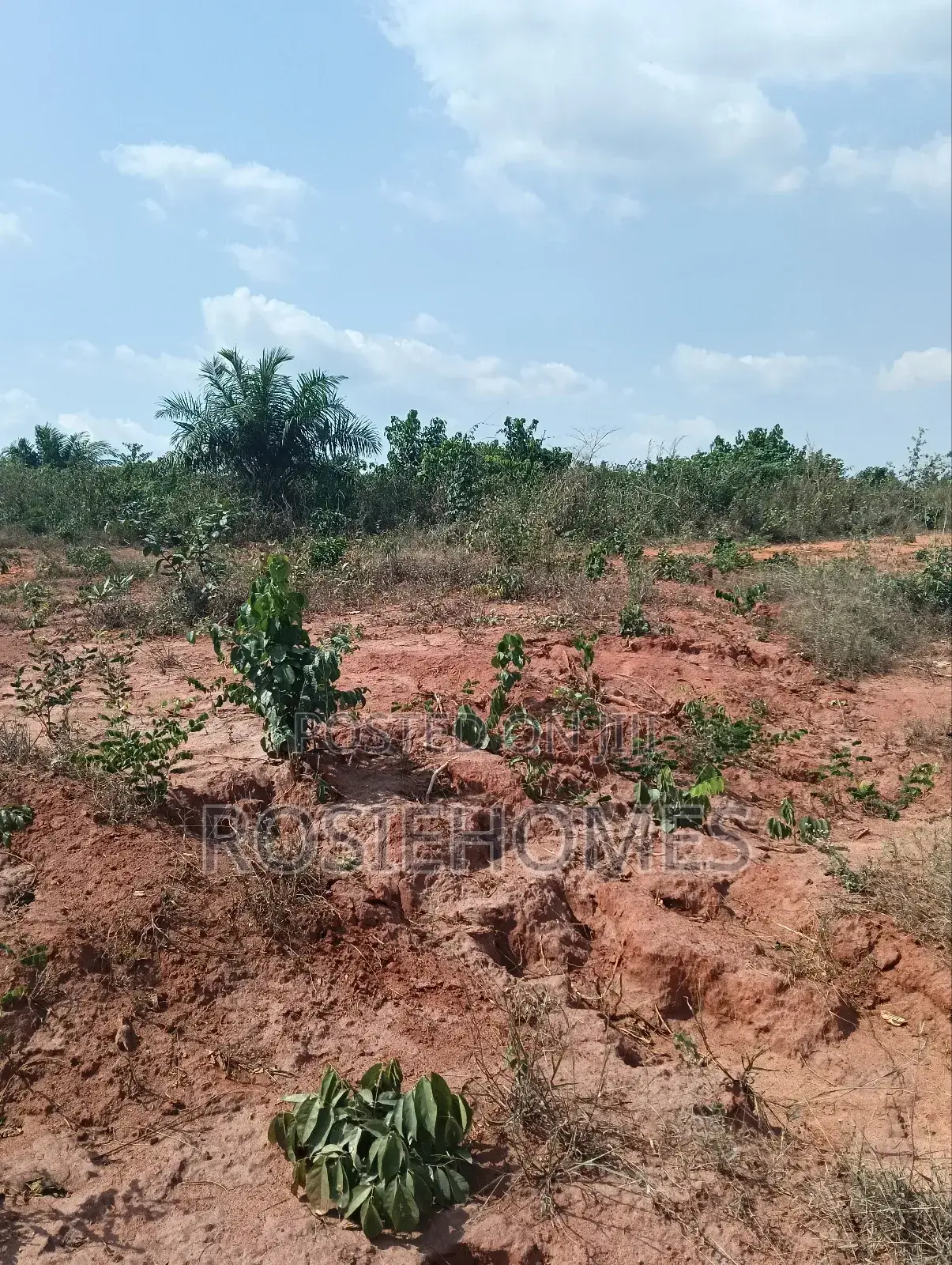 Genuine Land in Ogun State