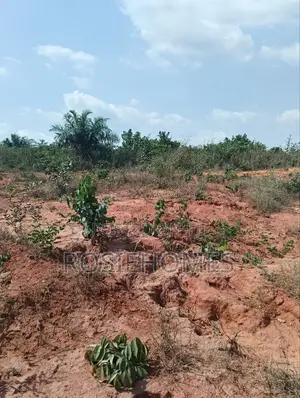 Genuine Land in Ogun State