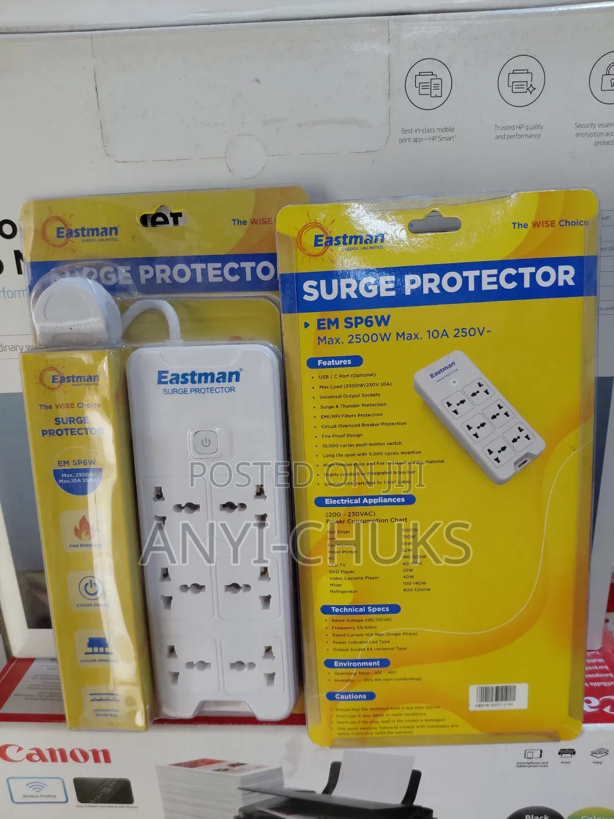 Eastman Surge Protector