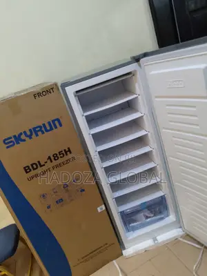 Skyrun 185l Vertical Freezer Bdl-185hc