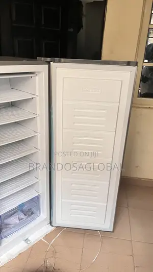 Skyrun Upright Freezer BDL-185h – Low Power