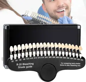 Dental Teeth Guide