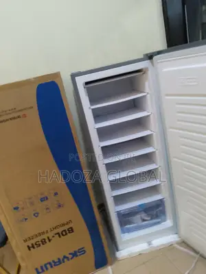 Skyrun Upright Storage Freezer Bdl-185hc