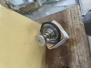 Thermostat Hyundai Sonata 2015
