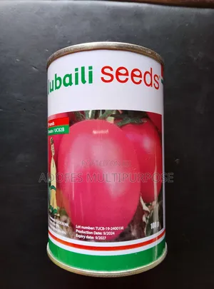 Tomatoes Seed Uc82b 100g Jubaili