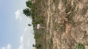 Several Plot of Land for Sale