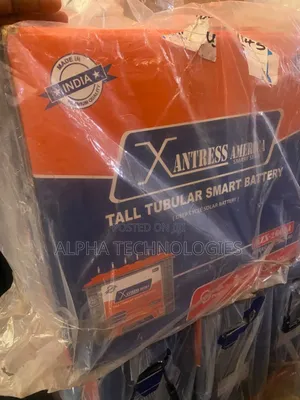 260a Tubular Battery