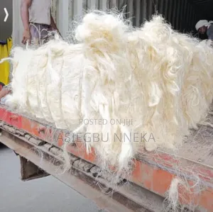 Tanzanian Pop Sponge (Fillas)100kg