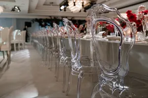 Belle Acrylics Chair for Event Hall