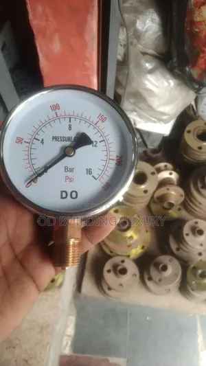 Ye-60 Diaphragm Pressure Gauge