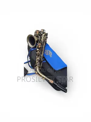 Selmer Bronze Alto Saxophone