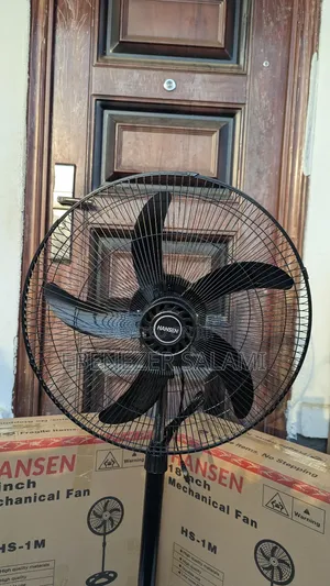 Hansen 18 Inches Standing Fan