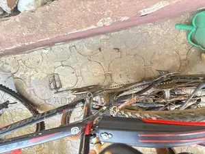 Stinger Bicycle (Tokunbo)