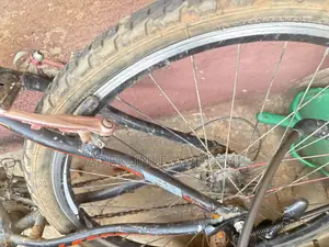 Stinger Bicycle (Tokunbo)