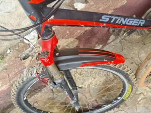 Stinger Bicycle (Tokunbo)