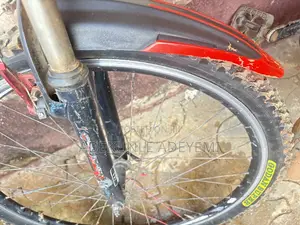 Stinger Bicycle (Tokunbo)