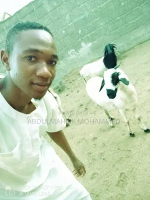 Mr Abdul Malik