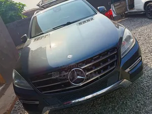 Mercedes-Benz M Class 2013 Gray