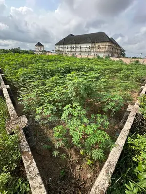 Land Measuring 100 By 200ft Along Benin Sapele Road