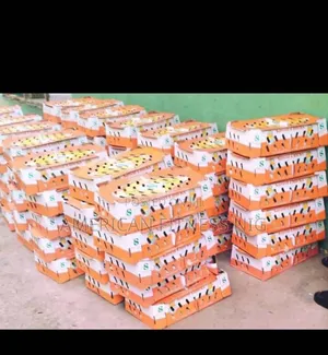 Amo Briolers And Pullets