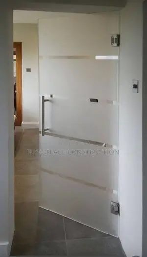Single Frameless Hinges Door