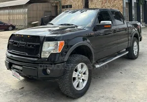 Ford F-150 FX4 2011 Black