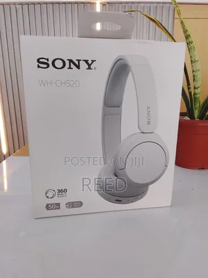 Sony Wh-Ch520
