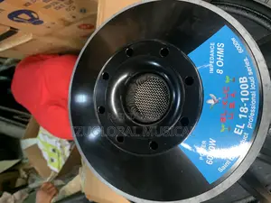 18”Inches Big Magnet Naked Speaker 6000watts