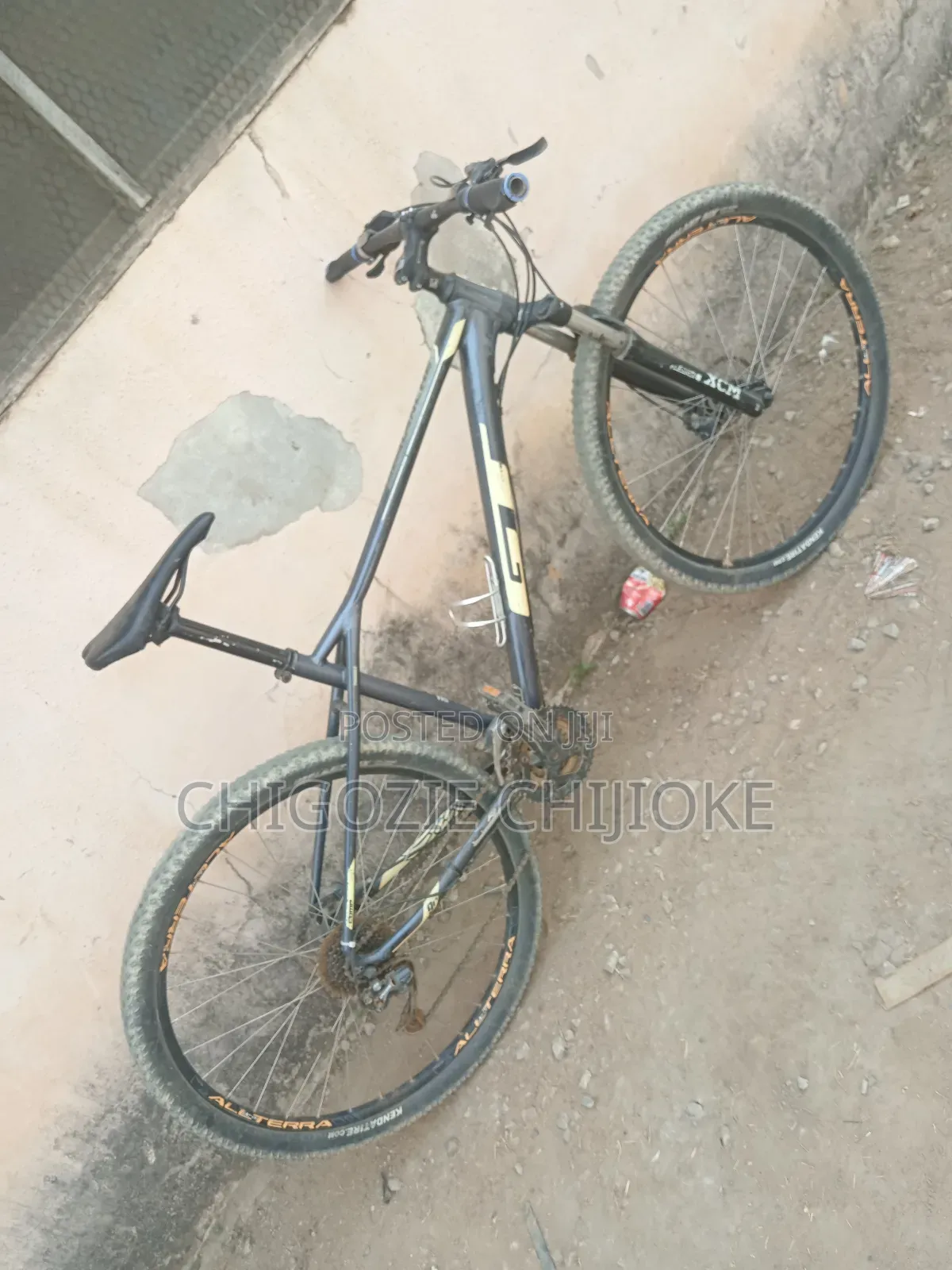 Avalanche Mountain Bicylce Size 29 Large