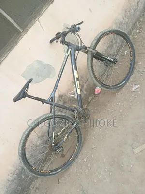 Avalanche Mountain Bicylce Size 29 Large