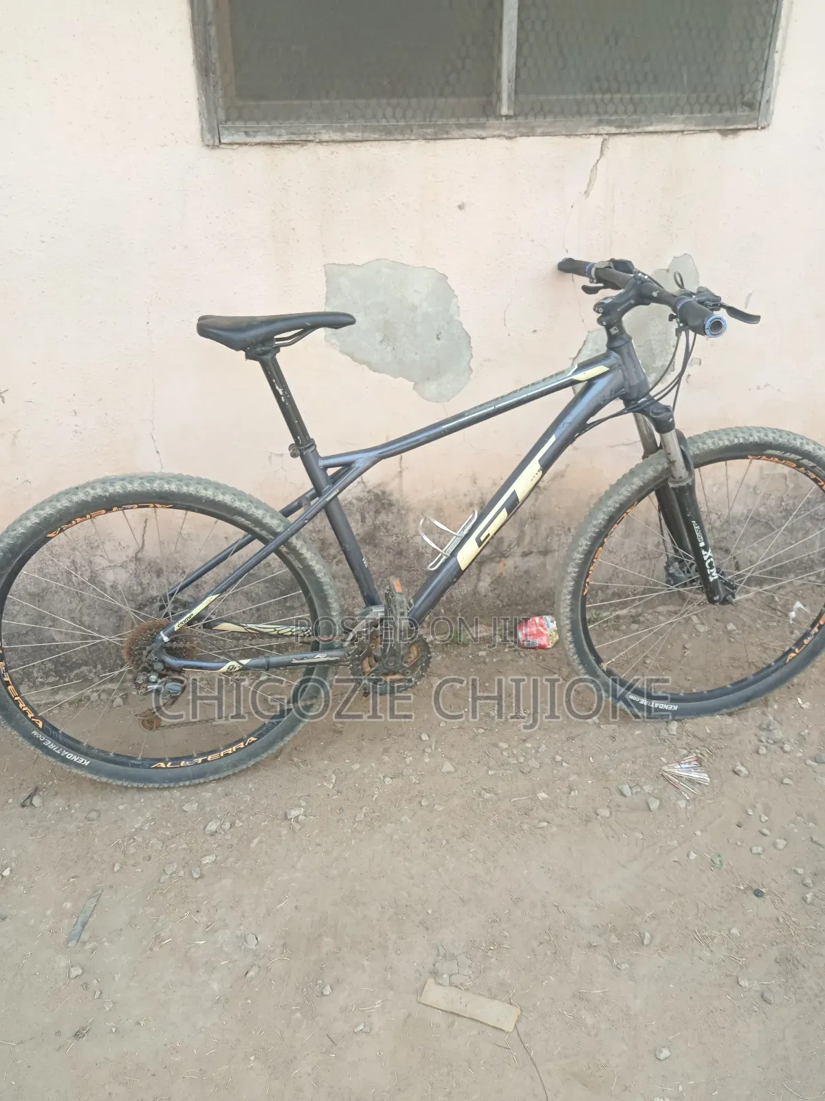 Avalanche Mountain Bicylce Size 29 Large