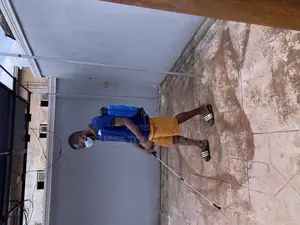 Professional Cleaning Services
