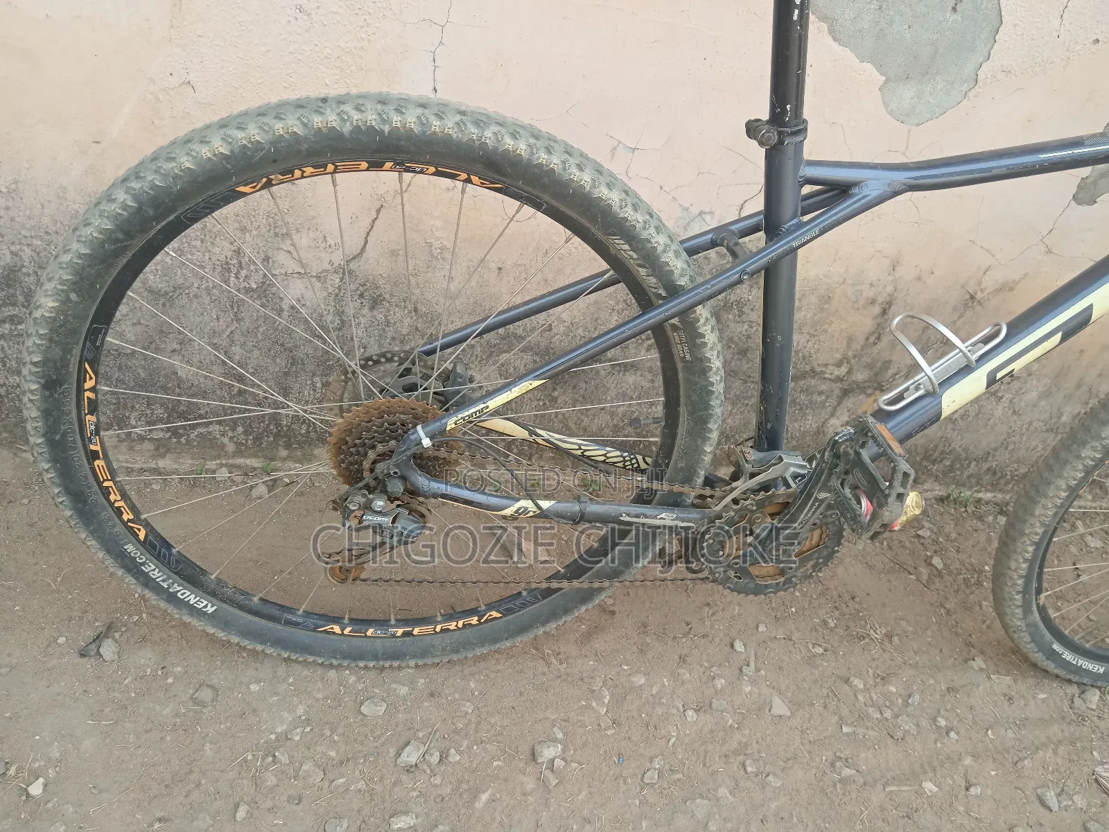 Avalanche Mountain Bicylce Size 29 Large
