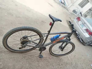Mustang Mountain Bicycle Size 29" Large Frame