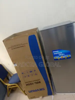 Skyrun Bdl-185hc Kitchen Freezer