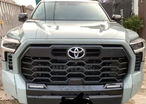 Toyota Tundra Platinum CrewMax 5.5' Bed 2024 Green