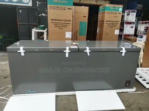 Hisense Chest Freezer Double Door Low Voltage