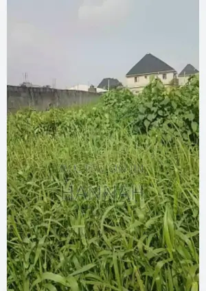 Cheap Dry Land for Sale in Epe Fast Developing Area