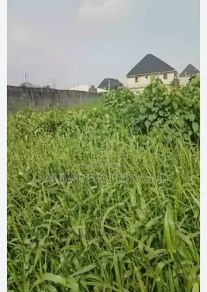 Cheap Dry Land for Sale in Epe Fast Developing Area