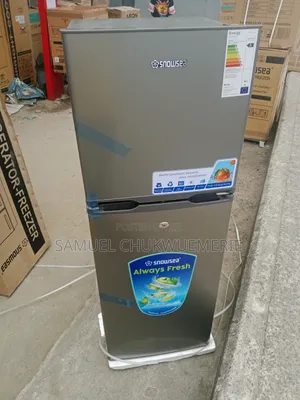 Snowsea Refrigerator Double Door Low Voltage